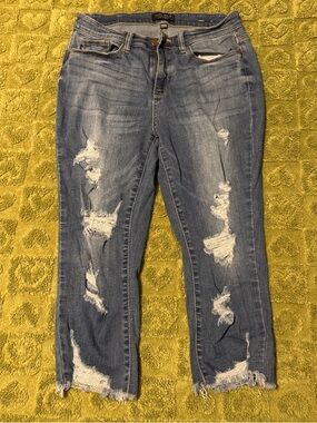 Judy Blue Skinny Capri Jeans